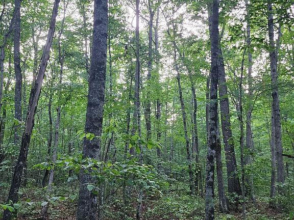 4th image of 273 Quail Dr Lot 5