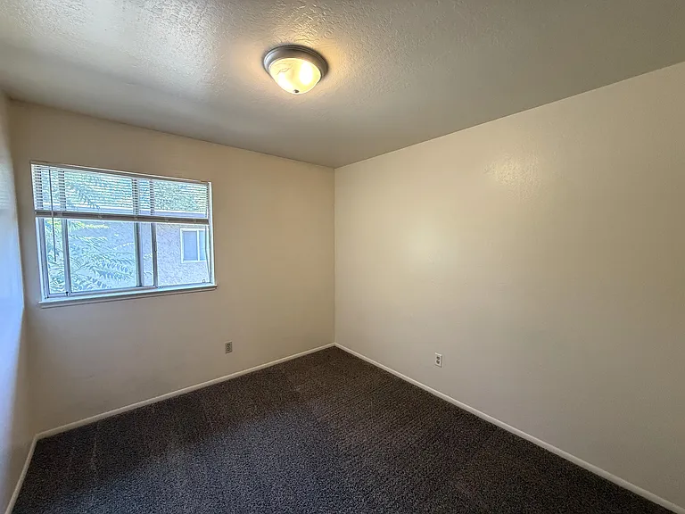 390 Ash St #4 — Photo 7