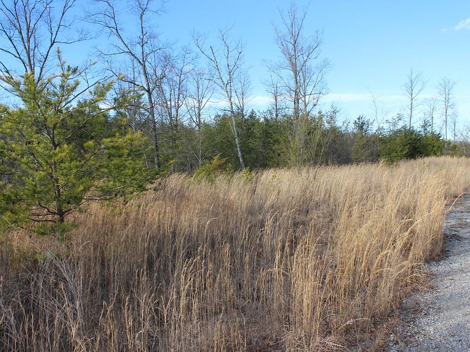 2nd image of Mountain Laurel Ln