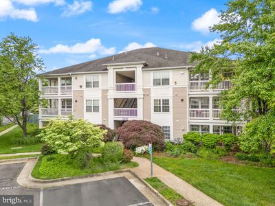 8075 Lacy Dr APT 303, Manassas, VA, 20109