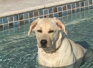 2031 Brick Kiln Pkwy, Mount Pleasant, SC 29466