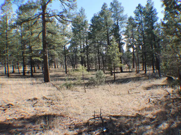 4487 S Indian Trl, Show Low, AZ 85901