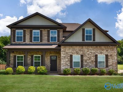 1796 Opp Reynolds Rd, Toney, AL, 35773
