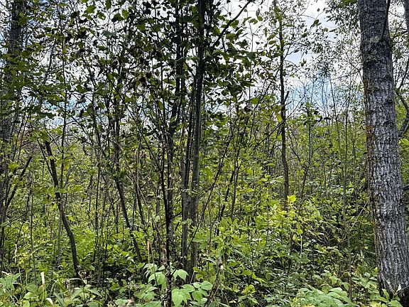 3rd image of Easement