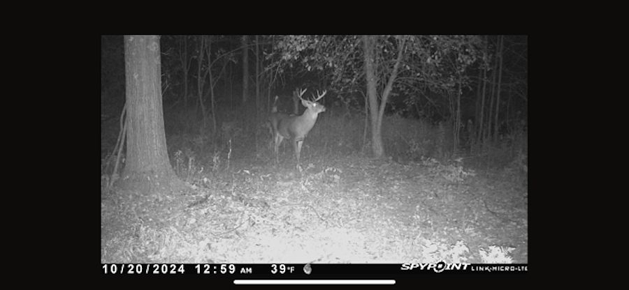 1st image of Melcher St