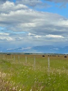 Nhn 18th Rd, Choteau, MT, 59422