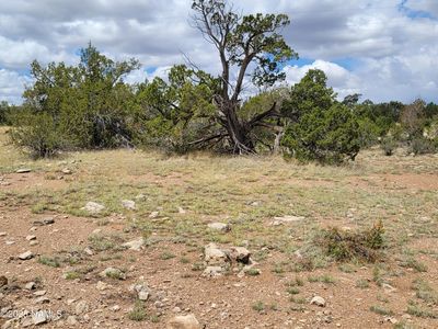 137 E Jackpine Ln, Williams, AZ, 86046