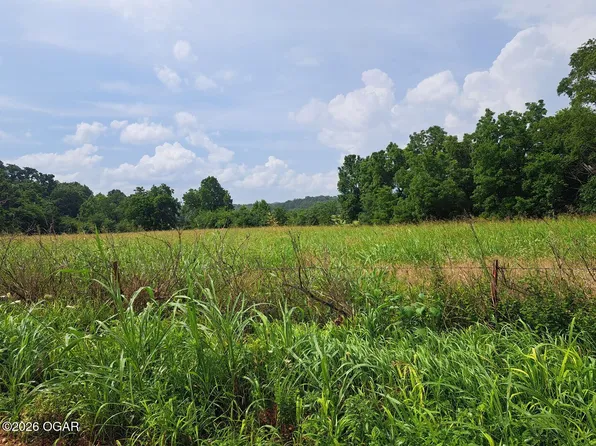 0 Reindeer Dr, Granby, MO 64844