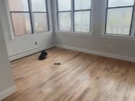 3rd image of 842 E 232nd St Floor 2