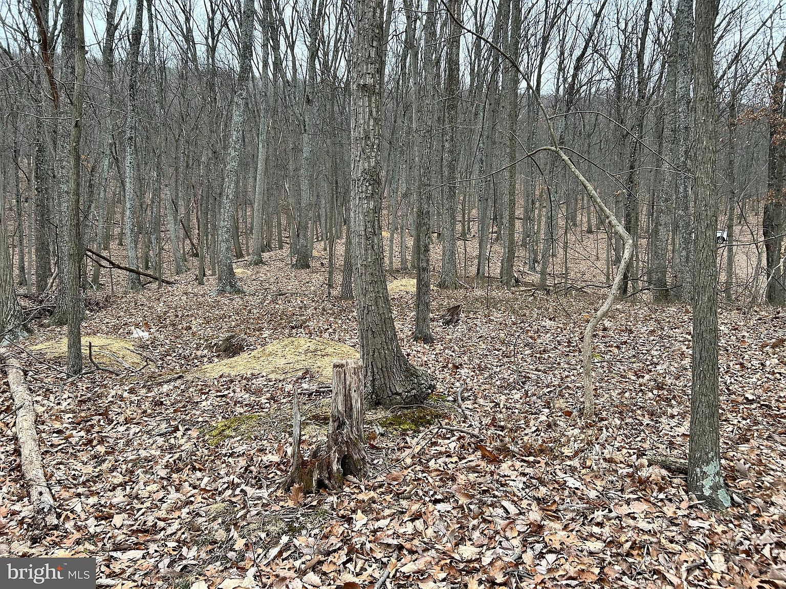 23 Heavens Tree Trl, Star Tannery, VA 22654 MLS VASH2005288 Zillow