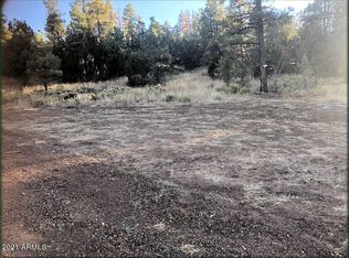 2306 Thunderbird Cir LOT B1, Overgaard, AZ 85933