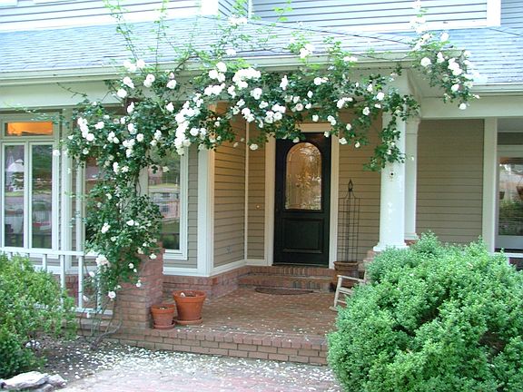 Front door