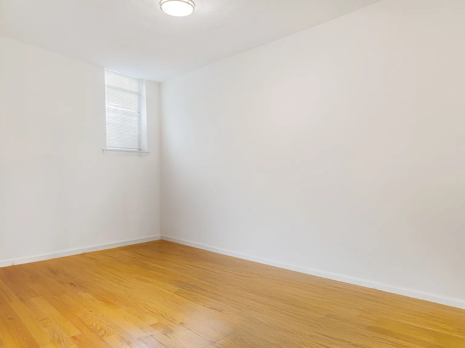 Studio, 300 sqft, $2,300 — Photo 3