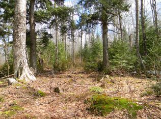 0 W Hungry Hollow Rd, Eckerman, MI 49728