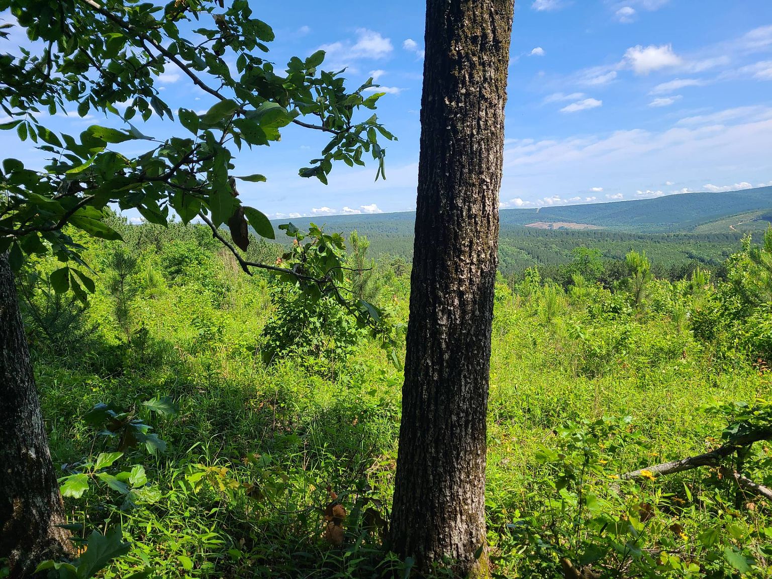 200 Indian Hwy, Honobia, OK 74549 Zillow