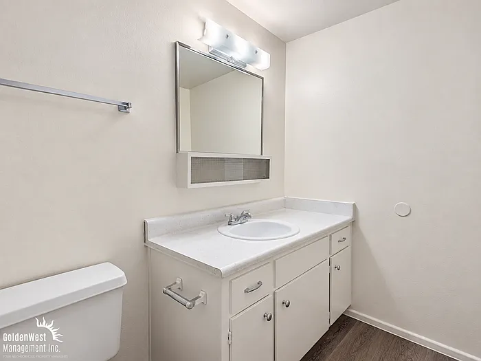 2 bed, 2.0 bath, 1000 sqft, $1,100 — Photo 4
