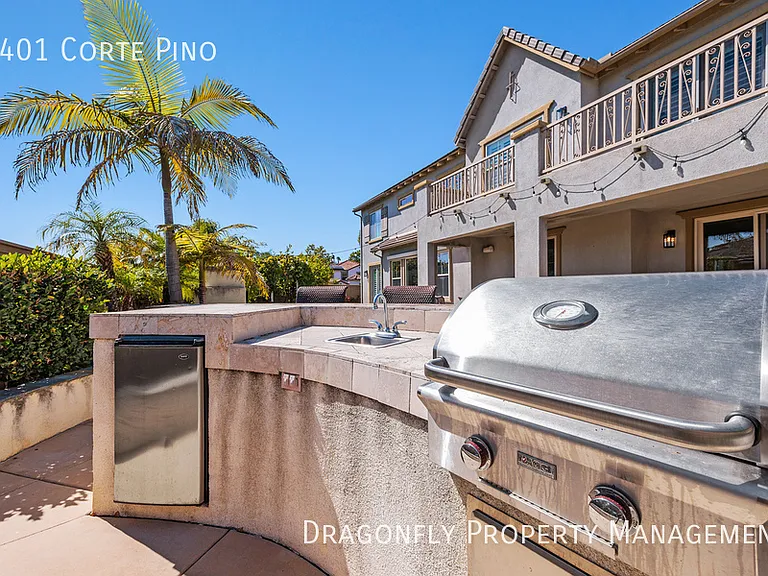 3401 Corte Pino — Photo 30