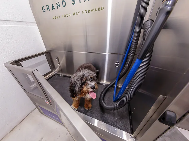 Dog Spa with Pet Wash Station | Grand Station