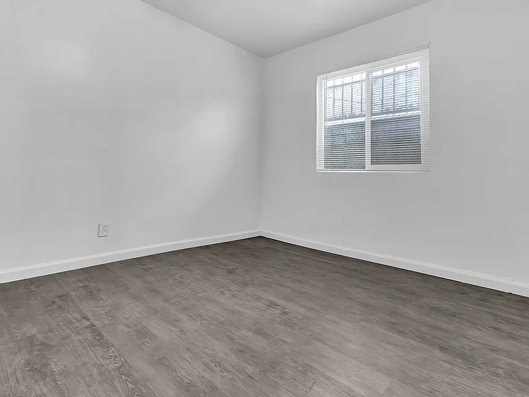 447 E 101st St #1 — Photo 5