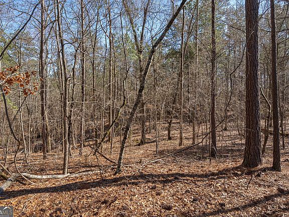 4th image of 202 Kent Rock Rd Tract 4