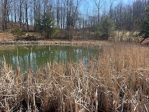 4th image of 446 Shaffer School Rd