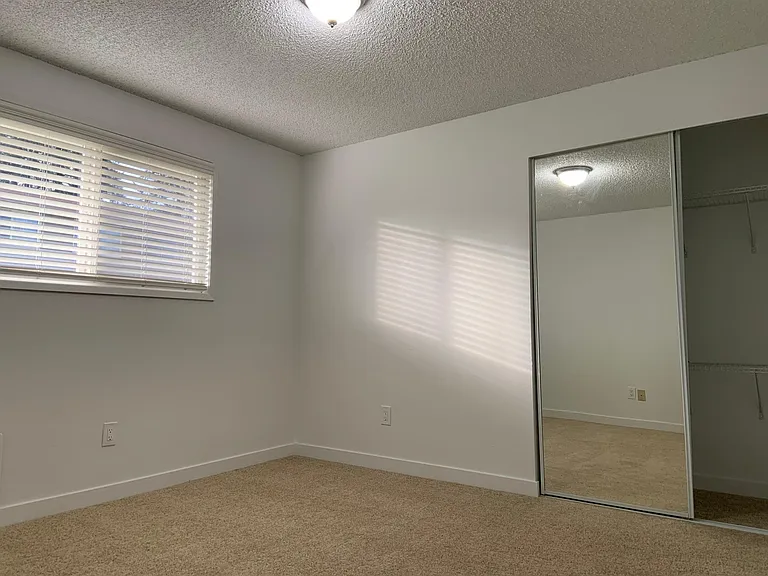 Tall Tree Manor — Photo 16