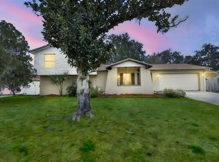 3806 Pinedale St, Brandon, FL 33511