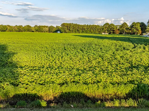 Whitehat Rd Lot 2, Hertford, NC 27944