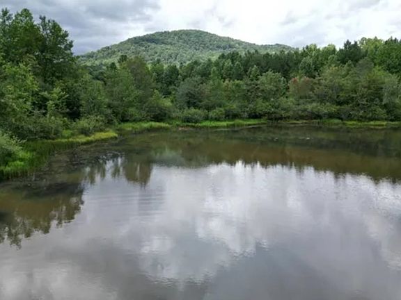 3rd image of 105 Right Fork Rd