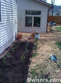 3rd image of 1195 Woodridge Ave