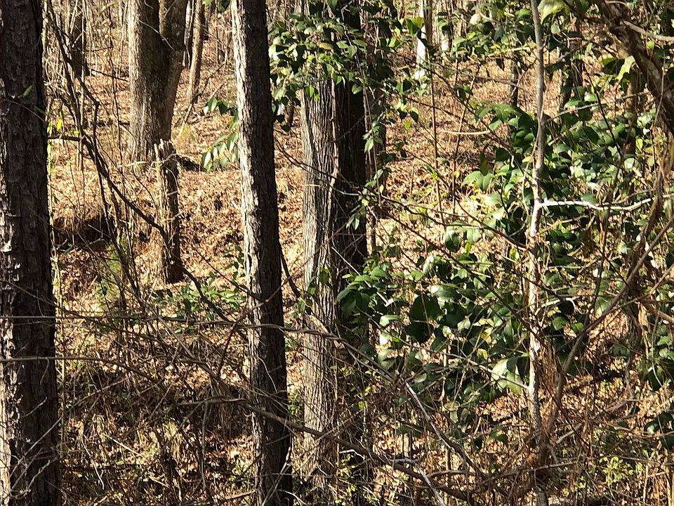 438 Lake Laurel Rd NE, Milledgeville, GA 31061 MLS 20060555 Zillow