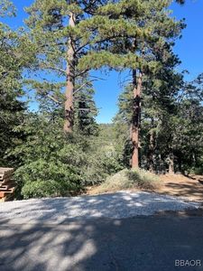 1319 Pigeon Rd, Big Bear Lake, CA, 92315