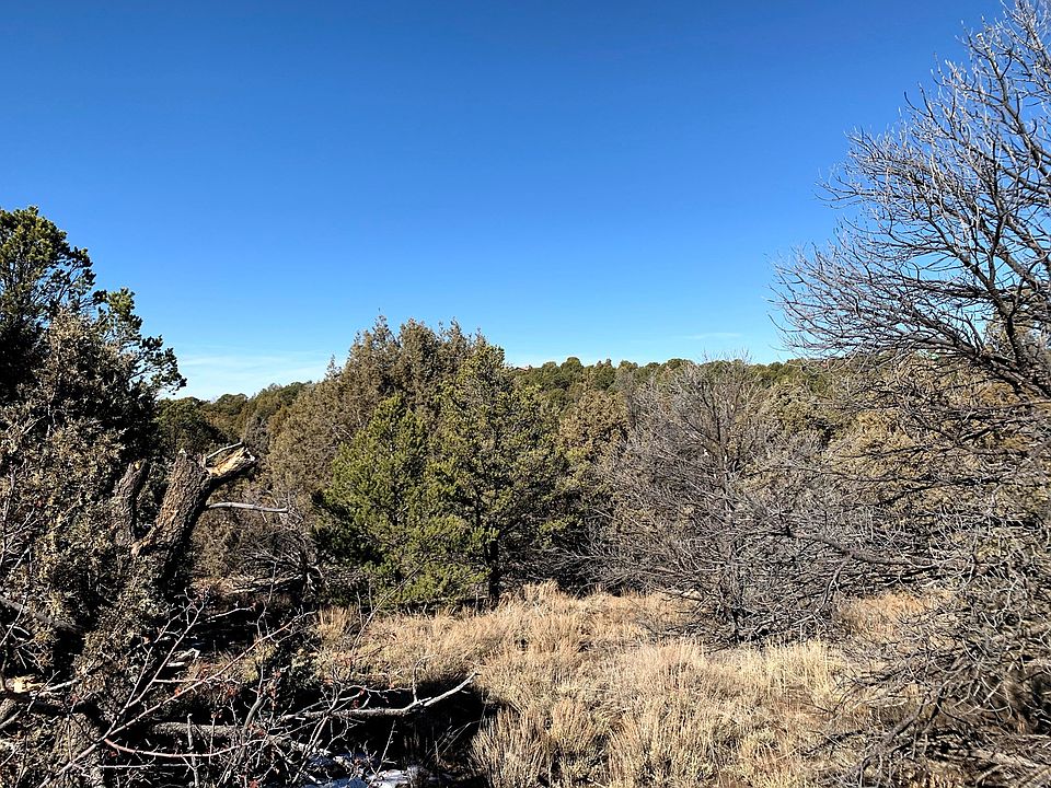 LOT 5 Road N Mancos, CO, 81328 Apartments for Rent Zillow