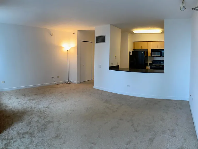 512 N McClurg Ct #1303 — Photo 6