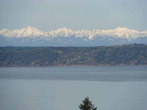 Olypmic Mtn View