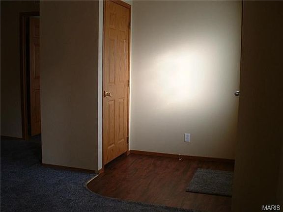 Entry with new flooring & guest closet.