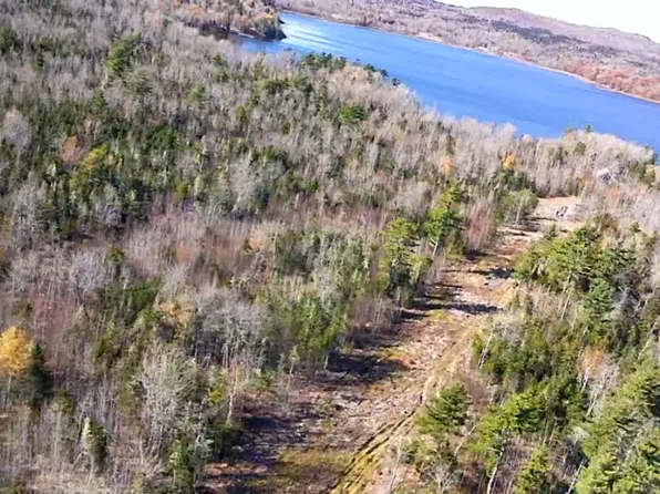Lot #2 Runamuck Road, Perry, ME 04667