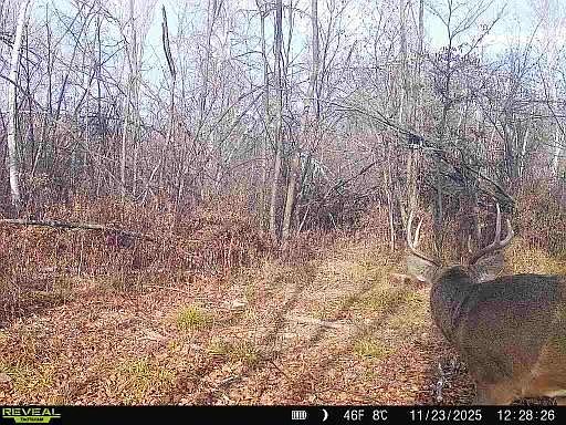 5th image of Xxx Fleming Logging Rd