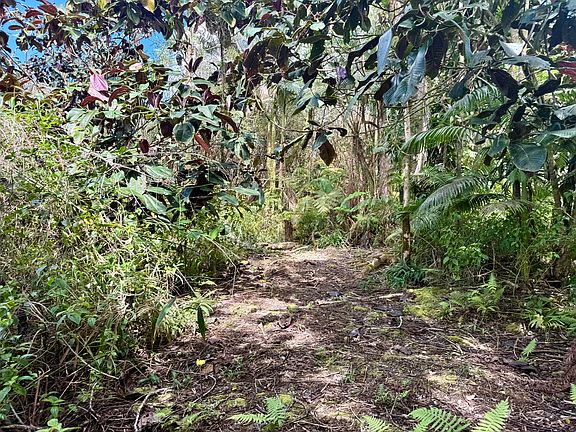 5th image of 17-1070 Nailima Rd Lot 3