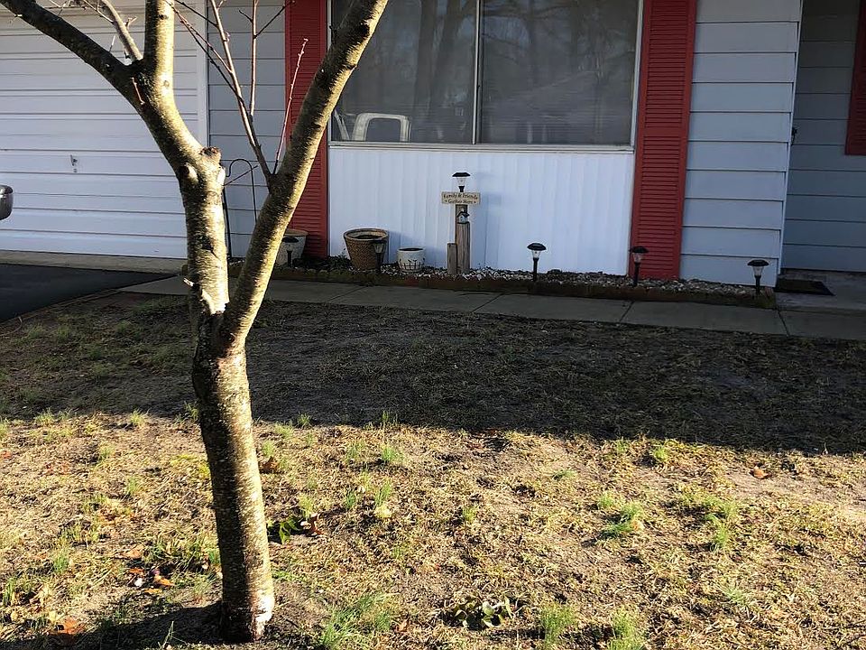 1st image of 23B Maryland Ave