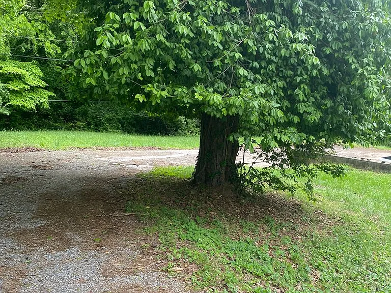 200-202 Rudolph Dr — Photo 13
