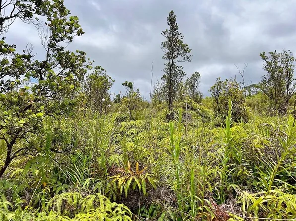 Mikana St Lot 25, Mountain View, HI 96771