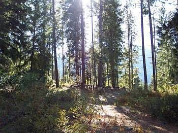 5th image of 16040 Telemark Ln