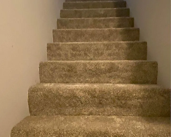 124 Saber Way — Photo 14