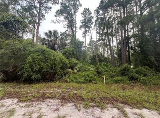 120 Gardenia Ave #28, Georgetown, FL 32139