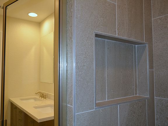 Walk in shower niche