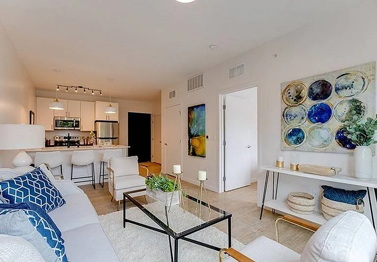 gal-8 (5)