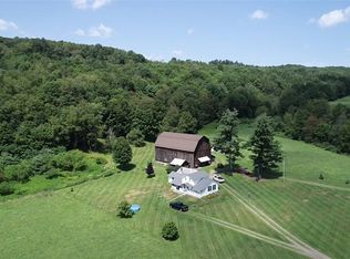 115 Hunt Hill Rd, Pt Crane, NY 13833