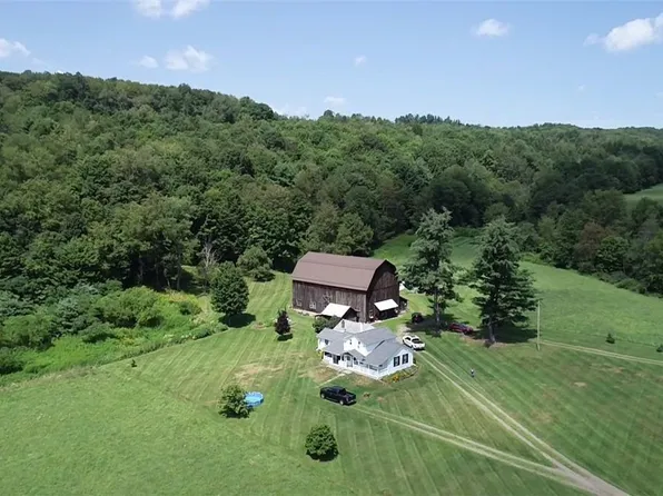 115 Hunt Hill Rd, Pt Crane, NY 13833