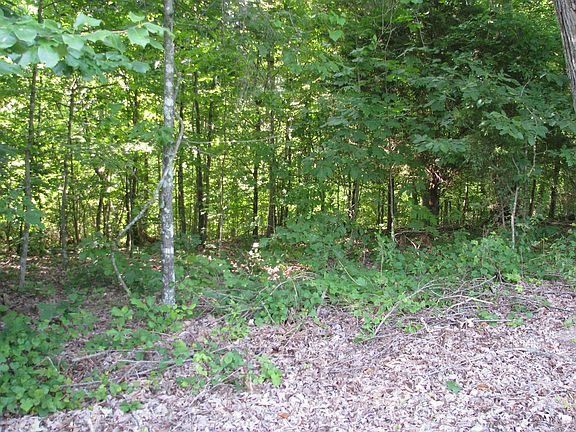 3rd image of 0 Big Richland Dr #10.00